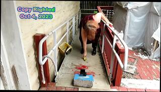 Video 1657971811: milf fetish model, bbw fetish mature amateur, sexy mature bbw milf, sexy milf mistress, black bbw mistress, redhead milf fetish, tight milf bbw, bbw milf playing, sexy milf dressed, sexy milf outdoor, models straight, crush fetish, mistress boots, funny milf, bbw smash, model hd