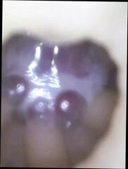 Video 1626126741: solo masturbation fleshlight, solo male fleshlight fuck, pov fleshlight fuck, pov solo cumshot, solo cock masturbation cum, solo masturbation sex toys, fleshlight fuck cum inside, daddy fleshlight fuck, fleshlight fuck orgasm, pov sex doll fucking, white cock solo masturbation, solo jerk cum, solo man masturbation cumshot, amateur solo male masturbation, solo male gay sex, cum load pov, cum close solo, men solo cum, fat cock pov, fleshlight shoots, cock fucks american
