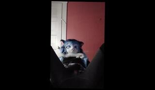 Video 1625019093: furry solo, solo male masturbation moaning, solo male masturbation cum, solo male masturbation cumshot, amateur solo male masturbation, gay cum solo, tight furry, skirt solo, socks solo, knee socks masturbates, bed moaning, high socks masturbating