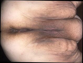 Video 1605969261: wide open, bbw hairy pussy milf, bbw ssbbw milf, milf pov closeup, tits milf hairy pussy, hairy ass hole closeup, bbw ssbbw big ass, hairy pussy mature bbw, american milf hairy pussy, pussy closeup compilation, bbw milf homemade, natural hairy milf, hd pov compilation, bbw spread ass hole, hairy pussies straight, big ass milf pornstars, milf spreads legs wide, pink pussy closeup, bbw pussy close, juicy pussy