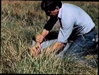 Video 1625928381: hairy vintage anal, vintage gay bareback, vintage retro, hairy gay man, hairy bearded man