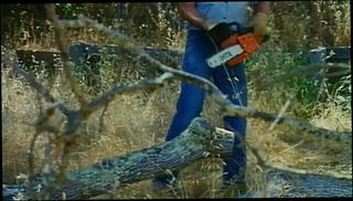 Video 1571822261: joanna storm, lois ayres, gina carrera, kelly nichols, jamie gillis, vintage retro, vintage straight, vintage ginger, american vintage, vintage star, balls straight