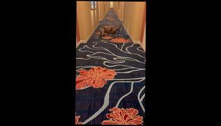 Video 1659100523: solo bbc masturbation, bbc solo cumshot, huge bbc solo, solo male bbc, cock masturbation solo cumshot, dick bbc huge cock, solo masturbating black cock, cock big dick bbc, big dick amateur bbc, bbc public masturbation, solo men masturbating, bbc long dick, muscular bbc, large bbc, very big long dick