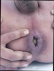 Video 1664504461: solo anal pov, solo masturbation pov, pov solo big, solo gay sex boy, pov blowjob anal cock, solo boy ass, homemade webcam solo, desi boy solo, arab gay solo, gay man solo, solo masturbation hd, pakistani solo, solo privat, home solo, solo beautiful