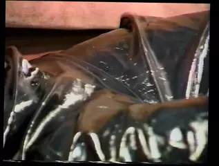 Video 1575813681: bbw latex, bbw bitch fucked, bbw slut big tits, bbw titty fuck, black bbw bitch, blonde bbw slut, bbw takes cumshot, bbw fuck friend, fucks tattooed bbw, bbw takes pounding, african bbw, american bbw, slut takes hardcore, bf hardcore, fucking straight friend