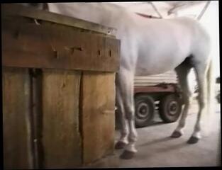 Video 1589784961: big cock blowjob cumshot, anal big cock blowjob, tits big cock anal, cumshot sexual, sexual straight, best blowjob cumshot, blowjob super cock, great blowjob cumshot, big tits anal european, cock good blowjob, anal super star, best german porn