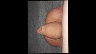 Video 1603187783: tiny uncut dick, fetish solo jerks, solo gay uncut, chubby gay solo, chubby bear solo, uncut solo male, gay uncut penis, jerking big uncut dick, ass jerks solo, solo amateur jerking, gay solo handjob, small uncut penis, big fat uncut dick, close uncut, big uncut european, penis clean