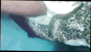 Video 517245101: straight amateur, lovely amateur blonde, amateur brazilian