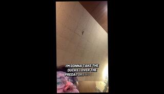 Video 1665500603: solo amateur trans, behind amateur