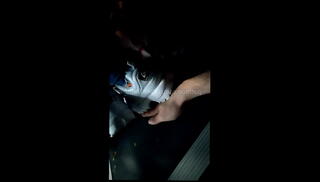 Video 1591760125: bdsm domination, domination trample