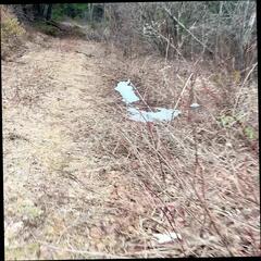 Video 1665054971: skinny jav teen, skinny hairy teen, pissing peeing wetting, skinny hairy asian, sexy hairy teen, sexy skinny petite, pee straight, old skinny teen, pornstar piss, pissing 18 year old, jav english, pee hd