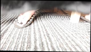 Video 1664073881: foot fetish flip flop, barefoot foot fetish, foot fetish dirty, amateur foot fetish, flip flop shoeplay, foot fetish soles, foot shoe fetish, foot fetish play, foot fetish close, foot fetish hd, closeup dirty, straight foot, soles toe wiggling, nails foot, nice closeup