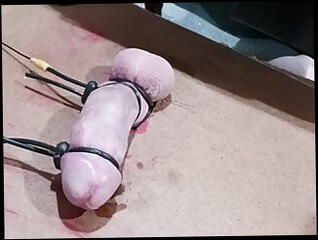 Video 1590653271: femdom voyeur, gay bondage cock, femdom big cock, femdom orgasm, hole bondage, public femdom, femdom hd, glory hole big cock, big american cock