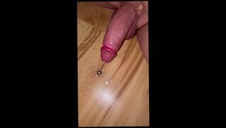 Video 1629572133: solo bisexual male, bisexual fetish, solo amateur toys, toy urethra