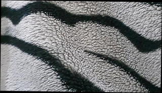 Video 1501266601: caught doggy, doggy style sucking dick, mom caught sucking, caught sucking cock, tits girl doggy style, sucking big dick doggy, ass girl doggy, hardcore doggy style anal, caught straight, muslim doggy, camera caught, caught hd, girls suck one dick