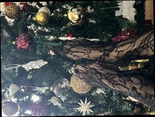 Video 1657107431: foot fetish sexy feet, nylon stockings foot fetish, nylon feet foot job, foot fetish soles feet, feet massage foot, sexy nylon legs feet, girl foot job massage, erotic foot massage, feet massaging straight, nylon foot play, foot fetish close, foot fetish petite, fetish lingerie nylon, foot fetish hd, sexy feet rubbing, massaging slim, sexy long legs, sexy slim black, three sexy