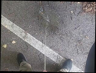 Video 1617755841: cock solo compilation, gay solo compilation, public pissing compilation, pissing compilation outdoors, gay men pissing, white cock compilation, public bathroom piss, pissing toilet, pissing outside, piss inside, piss car, pissing hd