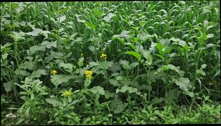 Video 1664008235: fucking wife's best friend, fucking friend's wife hard, wife fuck hindi