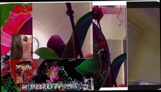 Video 1020118445: solo boy, boy usa, masturbacion
