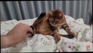 Video 1586422373: furry hentai, hentai pussy licking, furry porn, furry masturbation, furry blowjob, hentai toys, hentai amateur, soft furry, cute furry, furry play, romantic hentai, women licking pussies