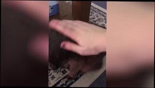 Video 1226223703: massage lesbian pussy licking, lesbian pussy licking compilation, amateur lesbian massage, solo play compilation, mature solos compilation, british pussy licking lesbian, lesbian pet play, pussy cumpilation, russian amateurs compilation, cute amateur lesbian, cute boy solo, stroking massage