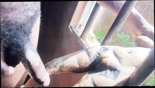 Video 1657021781: twink bareback fucked creampied, twink bbc bareback, hairy twinks bareback, hairy twink solo, gay twink boy bondage, twink bareback fucks cum, dick twink solo cum, cock bbc masturbation solo, bareback gay anal creampie, bareback twink gay sex, twink bareback ass fucking, twink bareback fucking teen, fucks guy bareback creampie, twink latino bareback fucking, bbc stepdad fucks, chubby boy solo, huge cock bareback creampie, hairy hunk bareback, twinks hot bareback fucking, barebacks young twink gay, big dick twinks bareback, hairy muscle bareback, barebacked creampied close, ass licking bareback fucking, twink boys kissing, dick bareback group fuck, pornstar masturbating solo, bbc hotel fuck, gay bareback hottest, threesome cum, solo masturbation hd, door cum