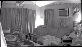 Video 1459241025: amateur cleaning