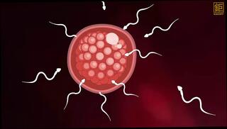 Video 1626550851: cartoon sex anime, cartoon fucking anime, cartoon creampie, cartoon sex stories, anime straight, bedroom creampie, cartoon fantasy, hd cartoon