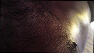 Video 1659272951: solo boy fucking, solo boy masturbation, solo boy cum, gay boy solo, solo masturbation nude, homemade masturbation solo, desi boy solo, young boy solo, solo masturbation hd, gym solo