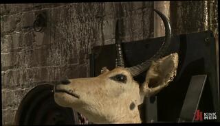 Video 1665661141: bondage domination bdsm, bdsm bondage fetish, bareback gay studs, studs anal bareback, studs hot bareback, bondage clamps, anal fisting domination, bondage blowjob anal, gay bareback leather, bareback gay men, stud picks, stud angel, classic bondage, stud hd, bound