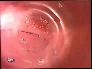 Video 1624043581: milka manson, solo pegging, shaved pussy solo, hot pussy solo, solo brunette pussy, tits pegging, straight pegging, small tits solo, extreme pegging, cute brunette solo, rough pegging, insertion solo, bedroom solo, hottest solo, solo close, bizarre pussy, hot brunette chick, chick inside