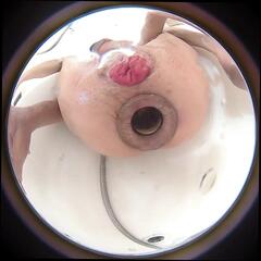 Video 1664861831: solo anal dildo masturbation, solo dildo masturbation orgasm, solo shemale dildo, solo pussy dildo, solo amateur dildoing, anal hole dildoing, anal dildo hd, solo bathroom masturbation, american dildo, soles solo