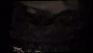 Video 1569141121: hooker masturbating, slut bitch, slut straight