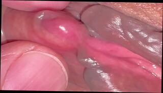 Video 1664021345: femdom milf fucks, femdom amateur milf, pussy homemade wife milf, milf pussy licked fucked, milf wife amateur couple, amateur milf homemade sex, milf licks wet pussy, milf fucks shaved pussy, milf masturbate wet pussy, milf fucks cock, dick fuck milf, japanese milf shaved pussy, milf pussy close, cock cum pussy, pink pussy cum, cock hot pussy