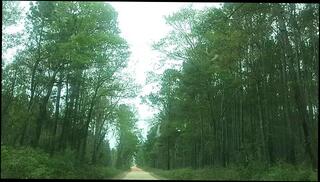 Video 1664782883: teen interracial pov, pov interracial amateur, pov solo teen, pov solo girl, model pov, solo pov hot, solo male pov, interracial pov big, big dick teen solo, amateur mature solo, pov babe publicly, model meets