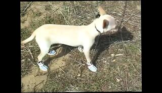 Video 1654993181: ashley long, milf doggy style sex, ass milf doggy style, milf blowjob doggy style, big ass milf doggy, vintage milf sex, brunette milf doggy style, blonde milf doggy style, doggy style sex riding, doggy style nude, doggy style straight, doggy style hd