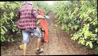 Video 1658845641: blowjob ass fucked doggy, amateur ass fucked doggy, homemade doggy style sex, doggy style sex cumshot, ass latin fucking doggy, ass fucked hard doggy, sex big ass doggy, hottest homemade doggy style, fucking very hard doggy, hot homemade doggy style, doggy style sex outdoors, doggy style fuck mature, doggy style straight, cosplay doggy style, doggy style hd, little red riding, naughty riding, portuguese ass