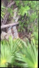 Video 307529901: bj gay porn, blowjob gay porn, amateur blowjob porn, gay blowjob outdoors