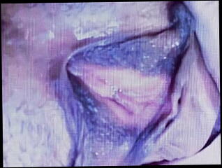 Video 1607350611: lesbian sluts fingering, horny lesbians fingering, lesbian fingering orgasm, lesbian fingering masturbation, fingering amateur lesbians, twerking fingering, bisexual lesbian, webcam slut fingering, lesbians moan amateur, anime slut, fingering female orgasm, fingering missionary, straight bisexual, twerking fat, bisexual american, twerking hd