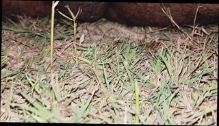 Video 1664300581: solo piss masturbation, pissing gay sex boys, pissing teen boys gay, piss outdoor gay boys, masturbation indian boy solo, young boy solo masturbation, pissing fucking boy, piss boys cock, solo masturbation huge cock, solo boy big cock, mom solo masturbation, homemade solo sex, pornstar masturbating solo, desi boy solo, sex pissing hot, mature solo masturbation, solo masturbation hd, hotel piss, hindi solo, gay boy sex medical, penis sex, standing penis