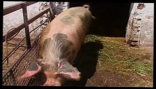 Video 1662804011: lesbian milf finger fucking, tit lesbian milfs finger, granny milf mature cougar, lesbian milf fingering blonde, milf lesbian anal fucking, pawg milf fucked, sexy cougar milf, vintage milf fucking, milf fucks hot lesbian, vintage milf sex, big tit pawg milf, granny milf blowjob, hardcore lesbian granny, classic vintage lesbian, german cougar granny, milf cougar hard, fingering lesbians outdoors, old granny milf, milf fingering young, milf rough anal fucked, lesbian straight fucking, best vintage fucking, milf fucked hd