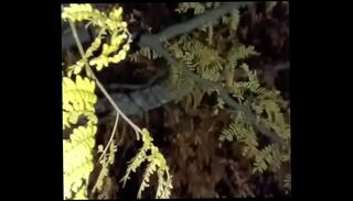 Video 1655221935: good anal