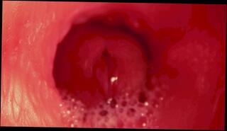 Video 1657207133: fetish solo masturbation, solo masturbation moaning orgasm, solo masturbation pussy toying, solo anal toy masturbation, toys solo masturbation ass, cock masturbation solo cumshot, solo male moaning cumshot, hard dick masturbating solo, amateur solo male masturbation, solo big dick cumshot, fetish hardcore anal, fetish blowjob anal, solo sperm, close solo amateur, best amateur fetish, massive dick solo, solo masturbation inside, camera solo, penis sperm