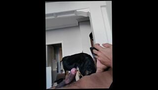 Video 1607981413: creampie solo, amateur teen solo masturbation, teen creampie sex, solo masturbation big dick, solo male sex, solo men masturbating, young amateur creampie, old young creampie, muscular solo
