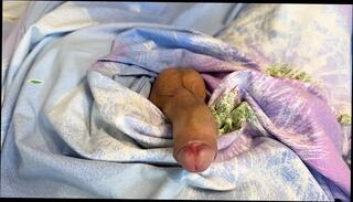 Video 1653919891: latex mistress femdom slave, foot fetish oil massage, femdom foot fetish handjob, latex mistress dominates, slave worship mistress, foot fetish dildo, foot fetish sex toy, handjob cumshot foot fetish, amateur homemade foot fetish, wife oil massage, foot fetish couple, oil massage masturbation, oil massage teen, dildo swap, oil massage hand, huge foot fetish, foot fetish close, foot fetish hd, straight dildo toys, cheating wife massage, swapping cock, latex women, massage exchange, oil helps