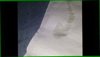 Video 1658933905: cock cumshot moaning, teen homemade hardcore, big black cock moaning, black dick moaning, ebony teen homemade, big black jamaican cock, moaning close, jerking