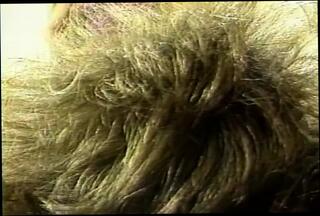 Video 1610262381: vintage lesbian sex, ass toying lesbian babes, lesbian toys sluts, lesbian babes kissing, amateur lesbian sluts, big ass lesbian babes, lesbians kissing passionately, vintage porno, haired lesbian babe, lesbian straight, short haired lesbian, american vintage, adorable lesbian, amazing slut