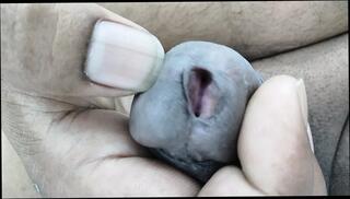 Video 1664984841: massage finger fuck, tiny teen fingers, tiny sissy, girl fuck sissy boy, sissy boy gay sex, boy penis massage, sissy husband fucked, sissy lady boy, boy friend fingers fucks, boy fingering girl indian, sissy boy masturbates, finger fucked pornstar, fingering desi man fuck, first time sissy fucked, sissy fucked outdoors, sissy public fuck, sissy fuck doll, young sissy boy, hd massage fuck, india massage, boys fucking dads, big penis