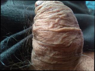 Video 1665680811: bbc gay bareback, amateur bbc bareback, bbc solo, gay black bareback dick, bareback big dick gay, bareback homemade gay, gay latino bareback, bareback gay men, gay muscle bareback, nude solo, bbc locker, bbc hd, dick rubbing gay, gay man dick, super man gay, dick loving