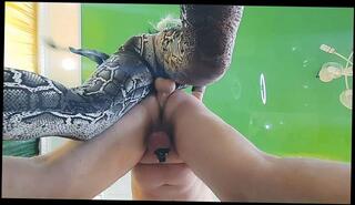 Video 1653620703: femdom strapon pegging slave, strapon femdom pegging anal, femdom strapon fetish, pegging strapon ass fuck, amateur strapon pegging, strapon submission, ass pegging anal play, strapon fucked toyed, anal strapon sex, toys strap, belt strap